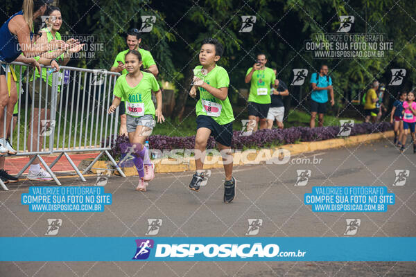 Vale Verde Run 2024