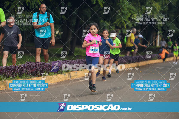 Vale Verde Run 2024