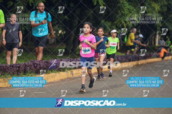 Vale Verde Run 2024