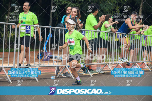 Vale Verde Run 2024