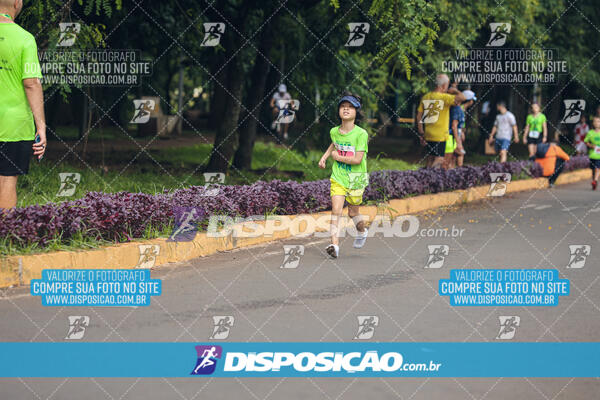 Vale Verde Run 2024