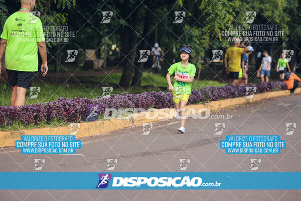 Vale Verde Run 2024