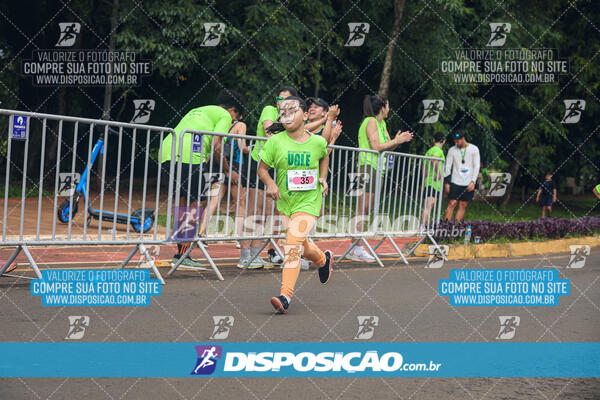 Vale Verde Run 2024