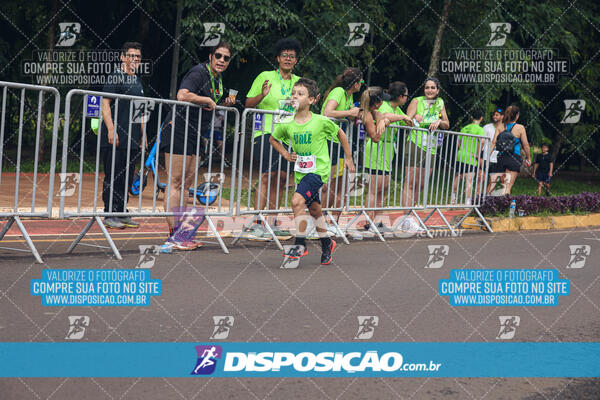 Vale Verde Run 2024