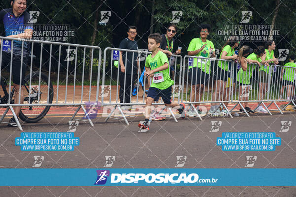 Vale Verde Run 2024