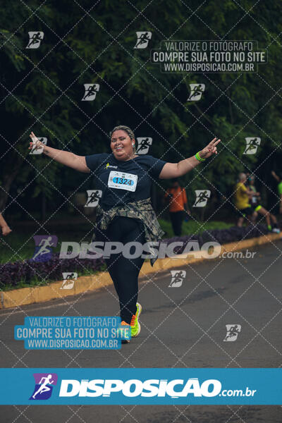 Vale Verde Run 2024