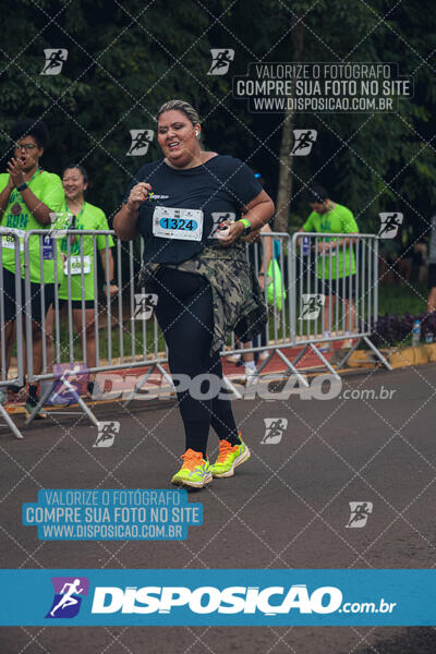 Vale Verde Run 2024