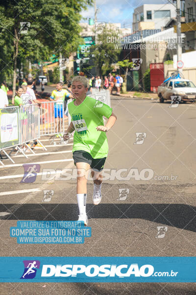 Vale Verde Run 2024