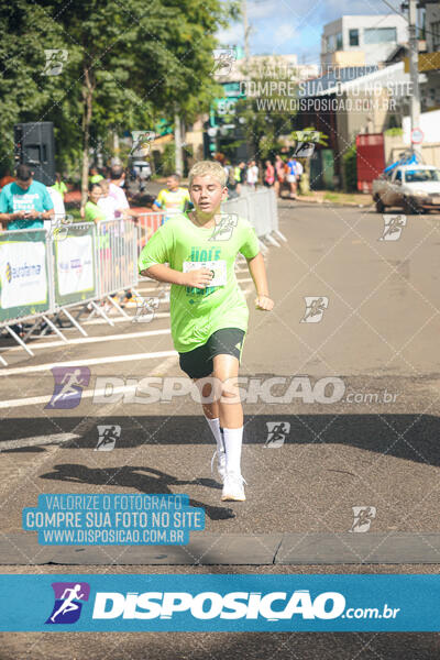 Vale Verde Run 2024