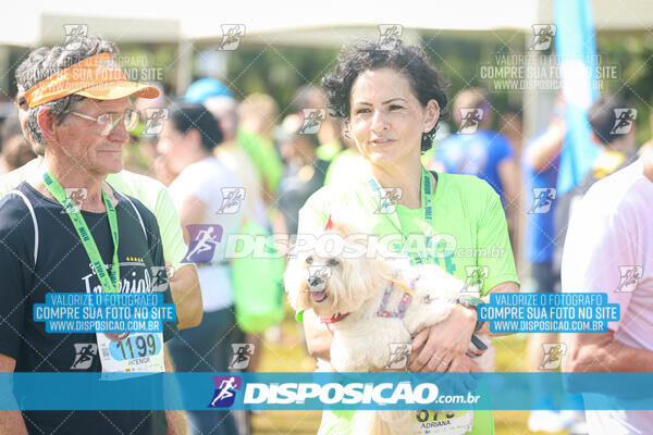 Vale Verde Run 2024