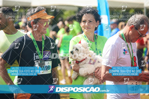 Vale Verde Run 2024