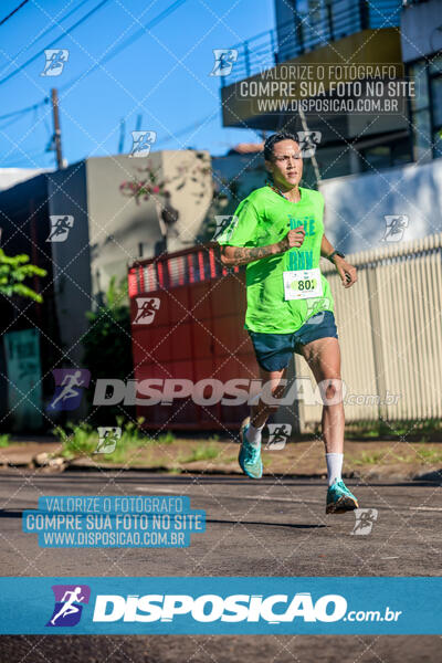 Vale Verde Run 2024