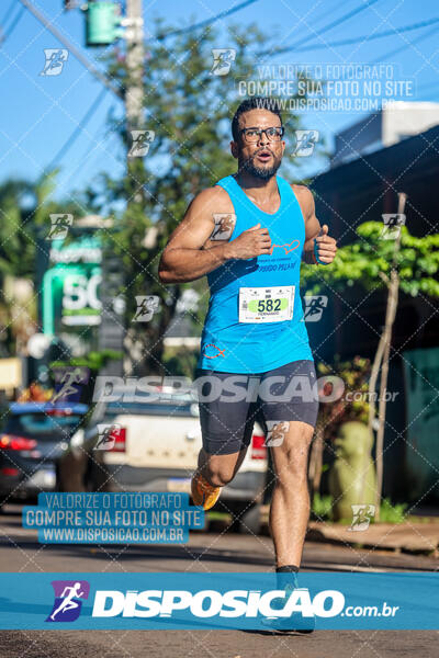 Vale Verde Run 2024