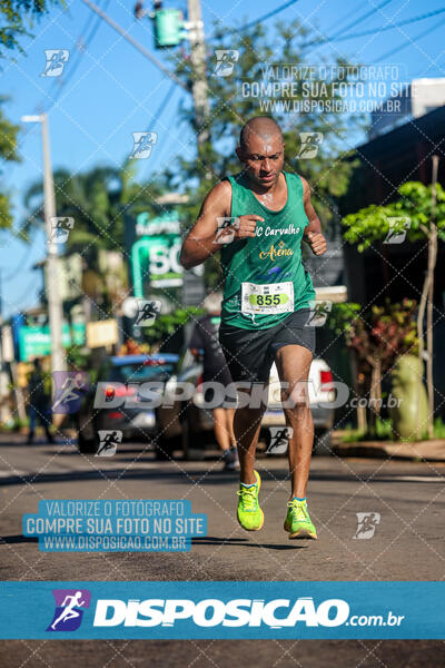 Vale Verde Run 2024