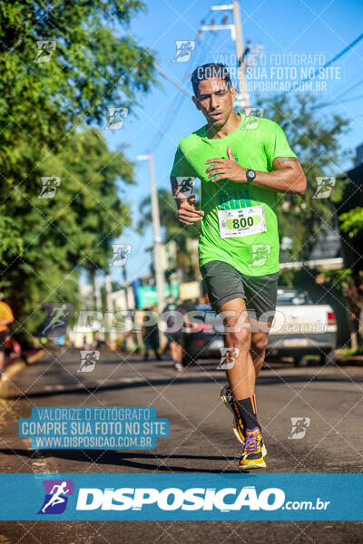 Vale Verde Run 2024