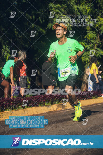 Vale Verde Run 2024