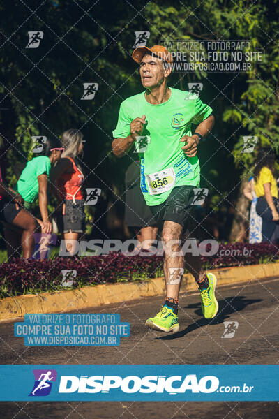 Vale Verde Run 2024