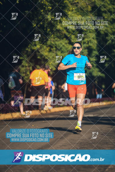 Vale Verde Run 2024