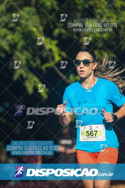 Vale Verde Run 2024