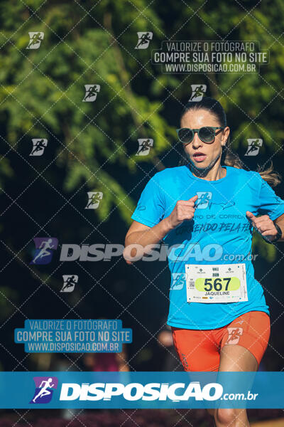 Vale Verde Run 2024