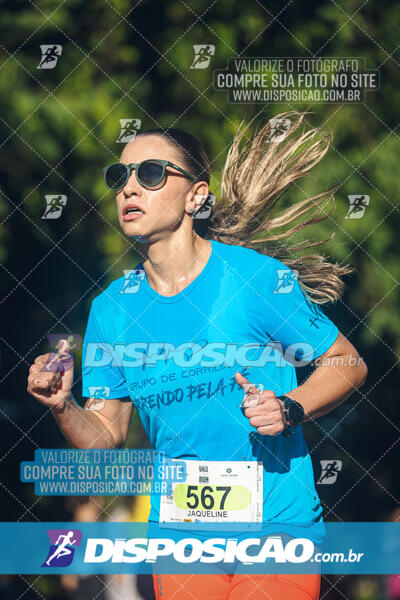 Vale Verde Run 2024