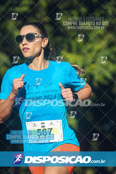 Vale Verde Run 2024