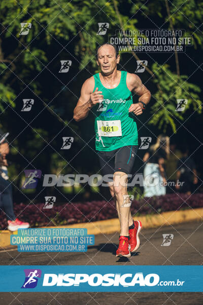 Vale Verde Run 2024