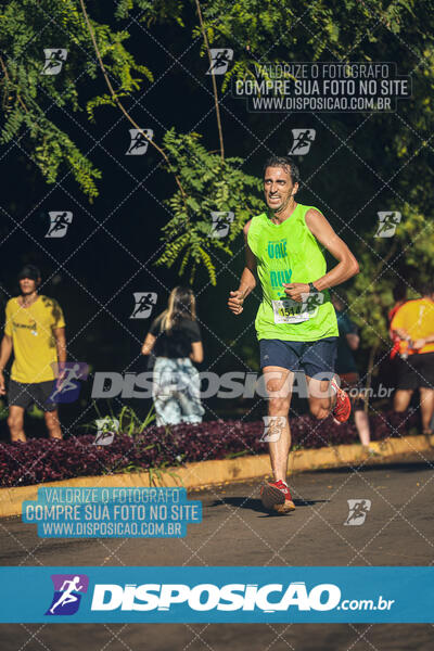 Vale Verde Run 2024