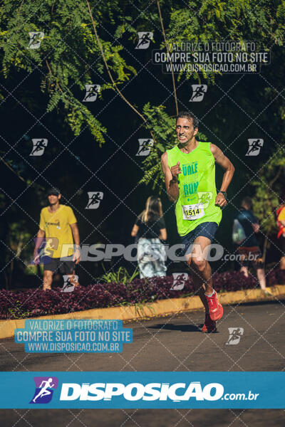 Vale Verde Run 2024