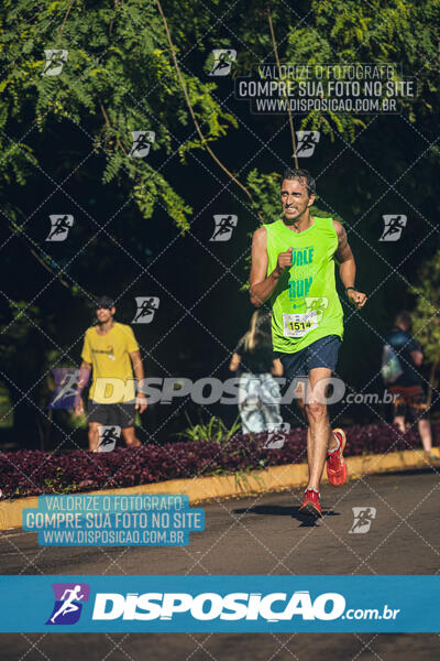 Vale Verde Run 2024