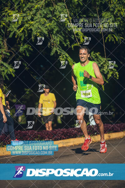 Vale Verde Run 2024