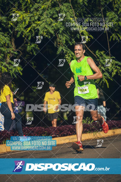 Vale Verde Run 2024