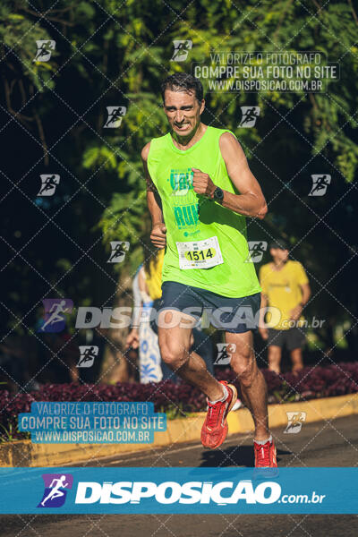 Vale Verde Run 2024