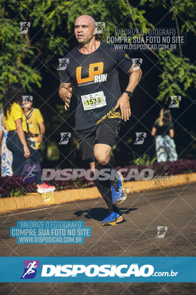 Vale Verde Run 2024