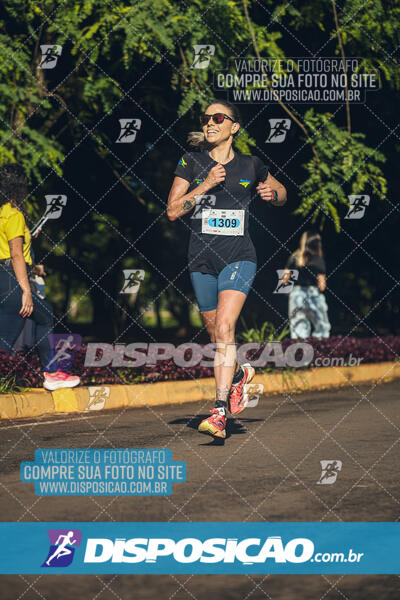 Vale Verde Run 2024