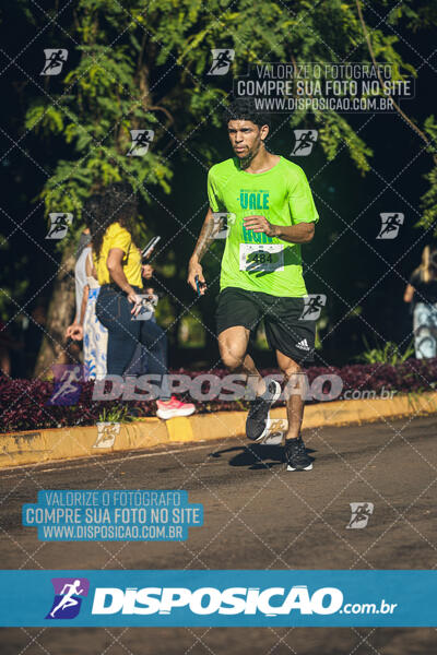 Vale Verde Run 2024