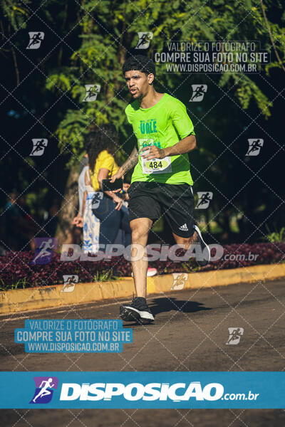 Vale Verde Run 2024