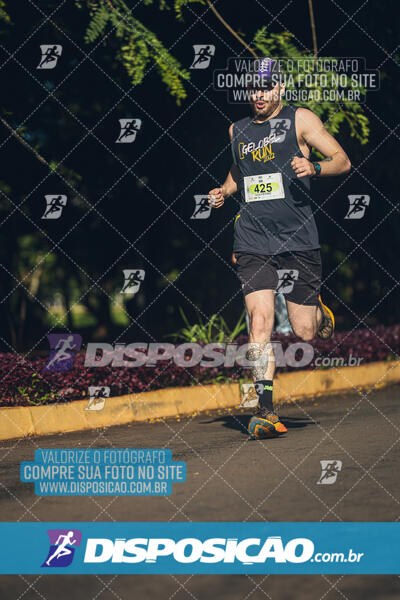 Vale Verde Run 2024