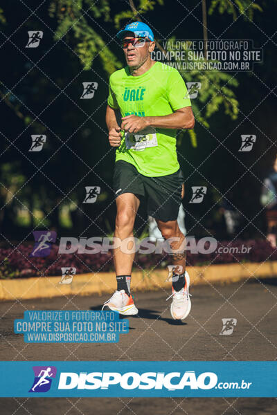 Vale Verde Run 2024