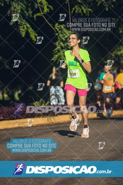 Vale Verde Run 2024