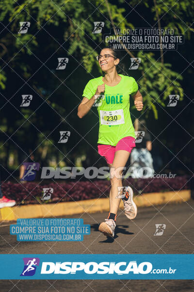 Vale Verde Run 2024