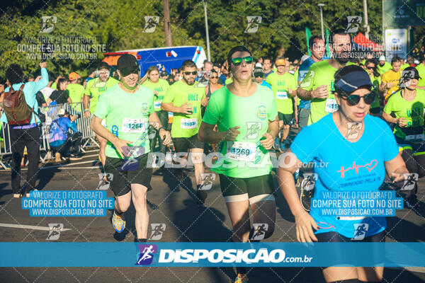 Vale Verde Run 2024