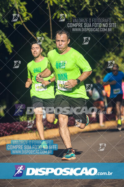 Vale Verde Run 2024