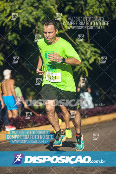 Vale Verde Run 2024