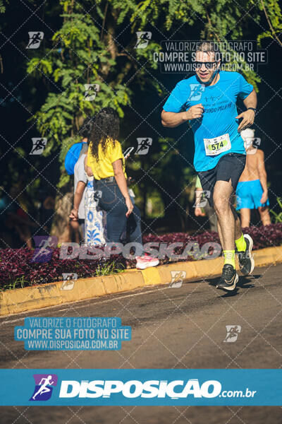 Vale Verde Run 2024