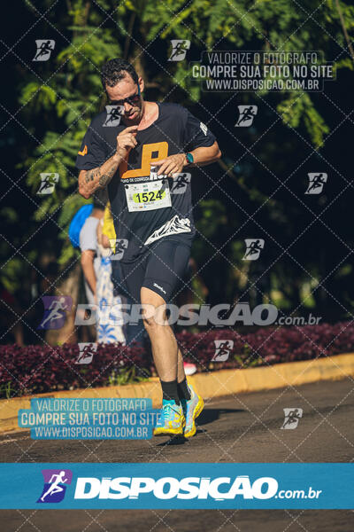 Vale Verde Run 2024