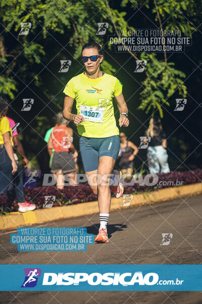 Vale Verde Run 2024