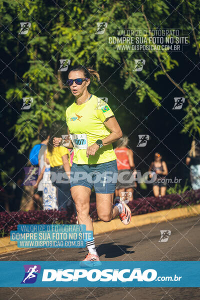 Vale Verde Run 2024