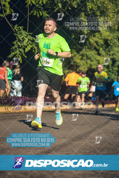 Vale Verde Run 2024