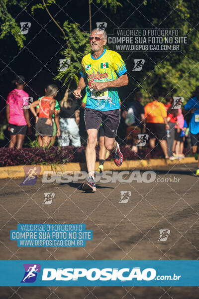 Vale Verde Run 2024